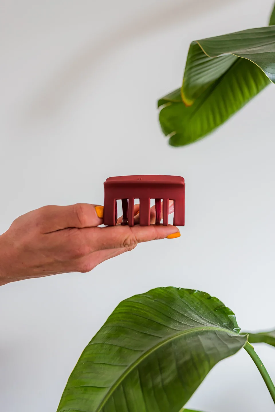 Miniatuur 2
